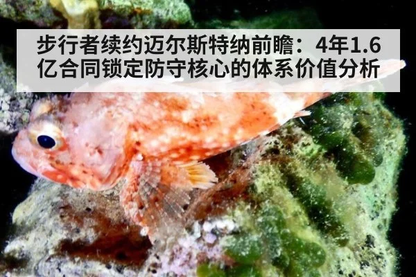 步行者续约迈尔斯特纳前瞻：4年1.6亿合同锁定防守核心的体系价值分析（jiuyou game）